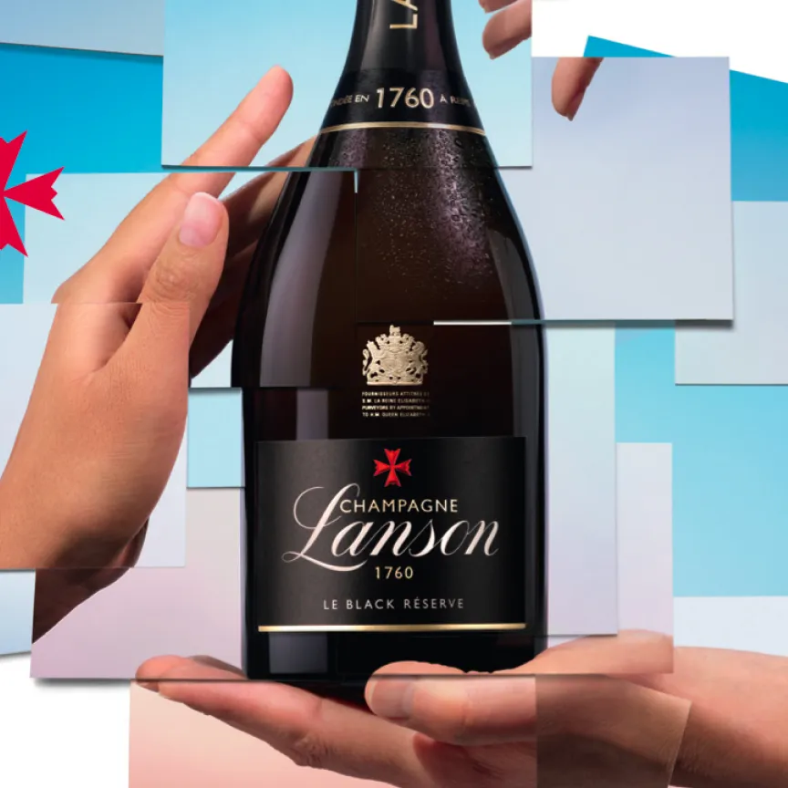 pragma-solutions-point-of-sales-materials-lanson-1